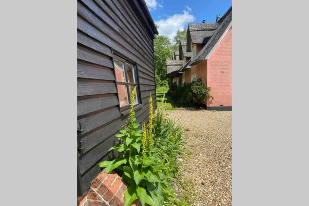 Gorgeous Comfortable Barn With Huge Private Orchard In Quiet Suffolk Location Depden Exterior photo